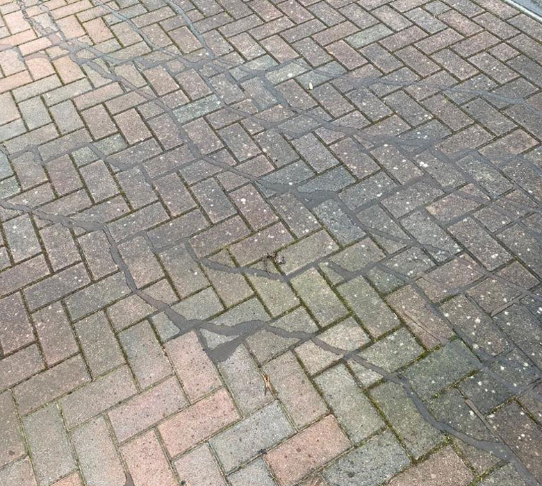 Driveway Before Cleaning